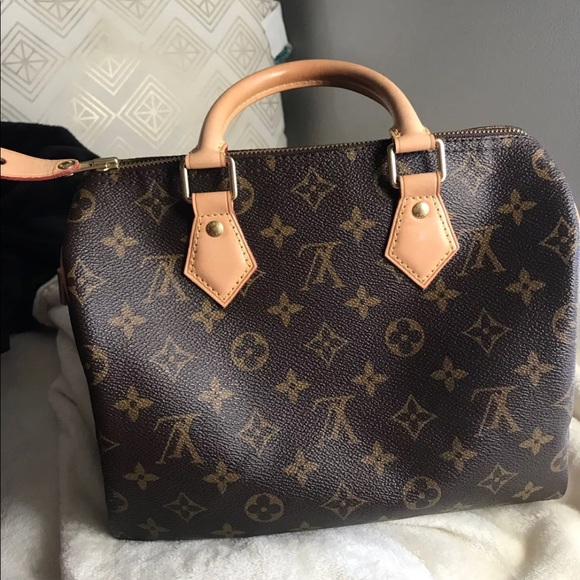 louis vuitton speedy 25 monogram